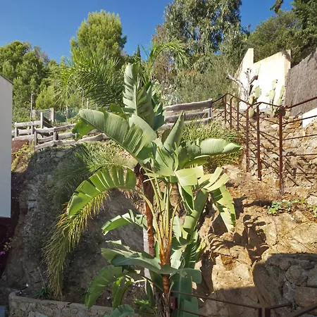 House In Roses Near Canyelles *
